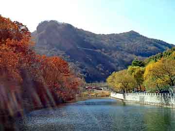 新澳天天开奖资料大全旅游团，黑链代码